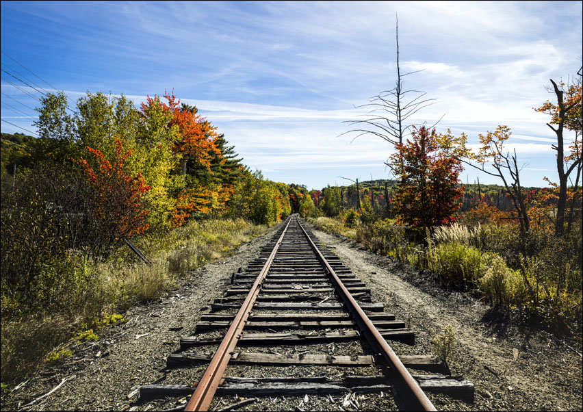 Fall along the railroad tracks in Bangor, Maine., Carol Highsmith - plakat 100x70 cm