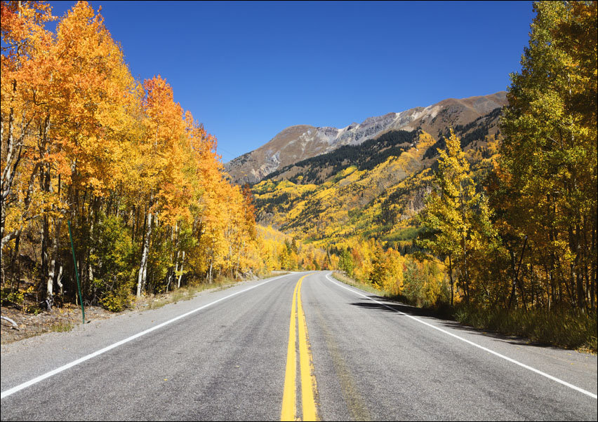 Fall aspens in San Juan County, Colorado USA, Carol Highsmith - plakat 80x60 cm