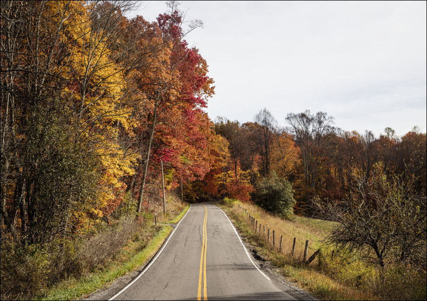 Fall scene in Upshur County, West Virginia, Carol Highsmith - plakat 70x50 cm
