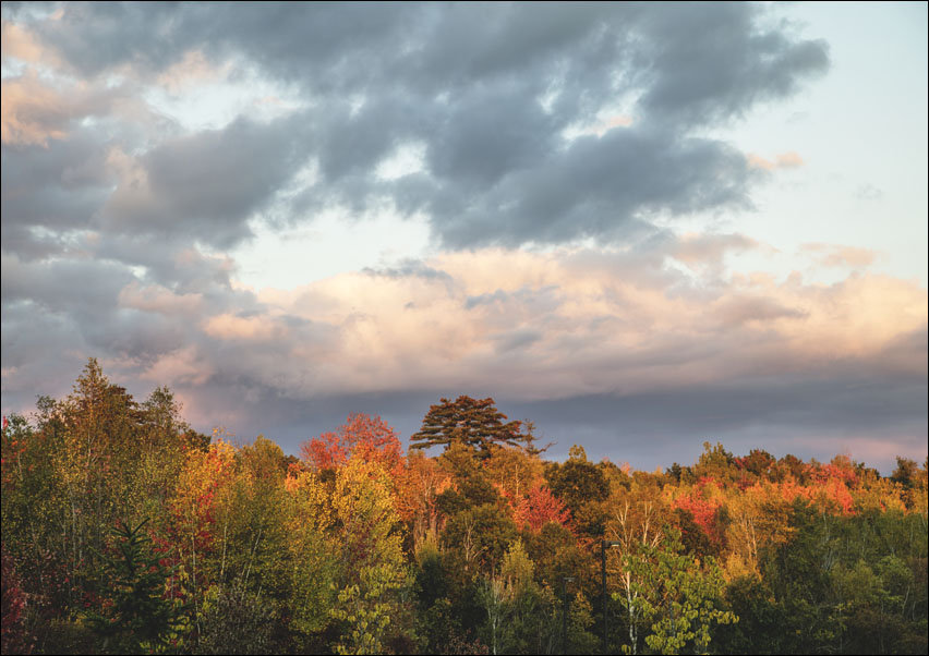 Fall scene near Veazie, Maine., Carol Highsmith - plakat 84,1x59,4 cm