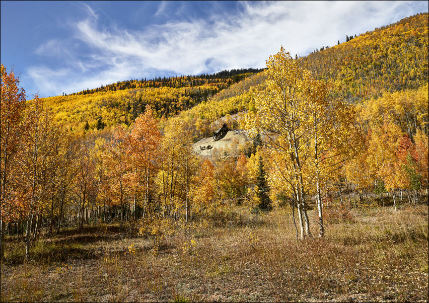 Fall aspens in San Juan County, Colorado., Carol Highsmith - plakat 70x50 cm