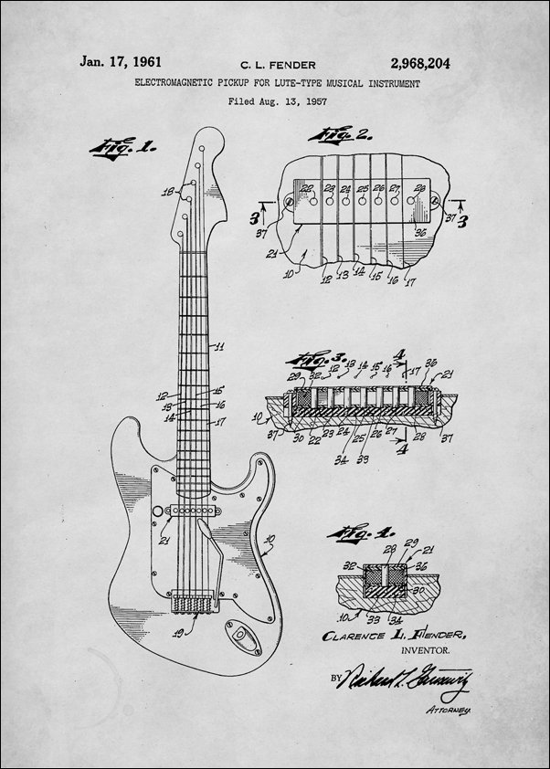Fender Bialy - plakat 60x80 cm
