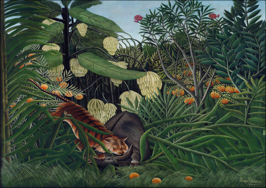 Fight between a Tiger and a Buffalo, Henri Rousseau - plakat 40x30 cm