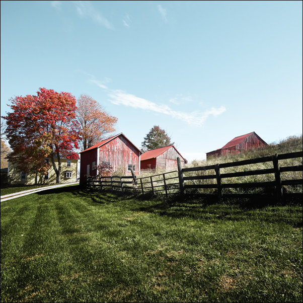 Grouping of small barns in this Monroe County, West Virginia, autumnal rural scene., Carol Highsmith - plakat 40x40 cm