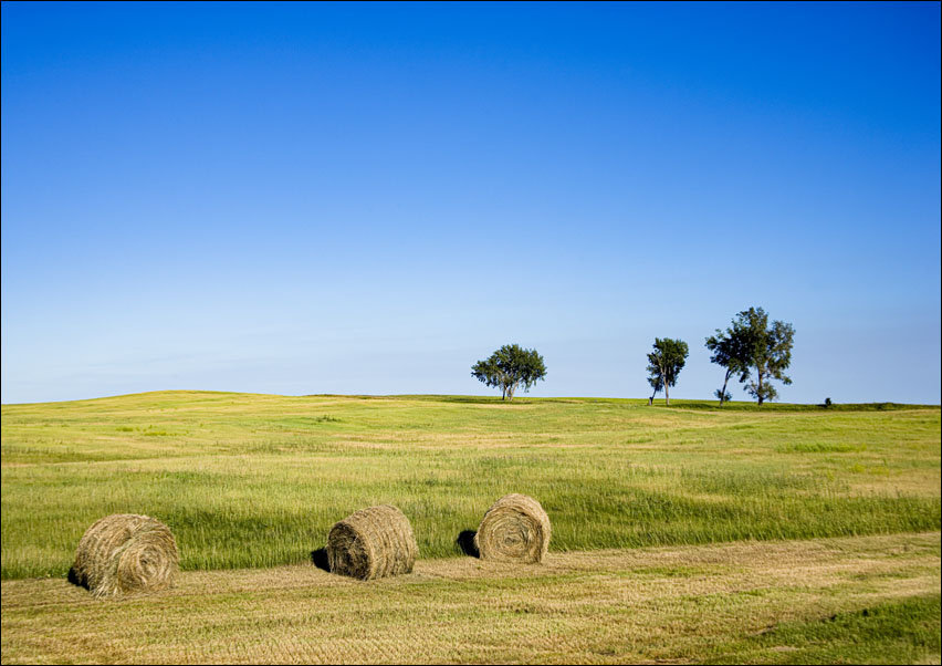 Hay bales are as numerous as the trees in this stretch of rural Nebraska., Carol Highsmith - plakat 70x50 cm
