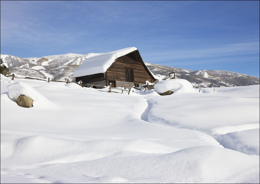 Heavy snow surrounds and lies a top a cabin in Steamboat Springs, Colorado., Carol Highsmith - plakat 100x70 cm