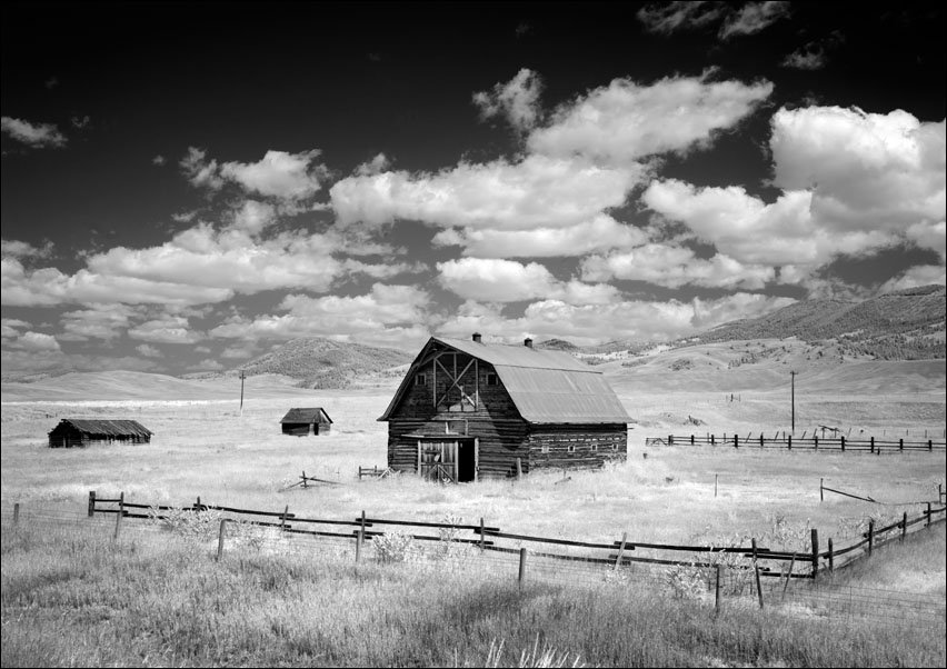 Infrared view of barn in rural Montana, USA., Carol Highsmith - plakat 70x50 cm
