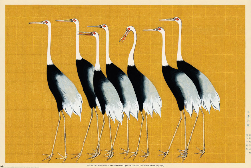 Japońskie Żurawie - plakat 91,5x61 cm