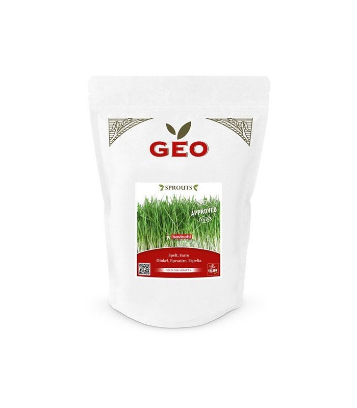 Orkisz - nasiona na kiełki GEO, certyfikowane, DUŻE OPAKOWANIE, 400g, Bavicchi (ZCR0309)