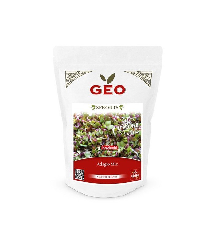 Adagio - mix nasion na kiełki GEO, certyfikowane, 400g, Bavicchi (ZMI0608)