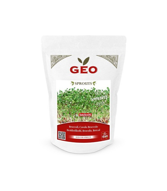 Brokuły - nasiona na kiełki GEO, certyfikowane, DUŻE OPAKOWANIE, 300g, Bavicchi (VCB0508)