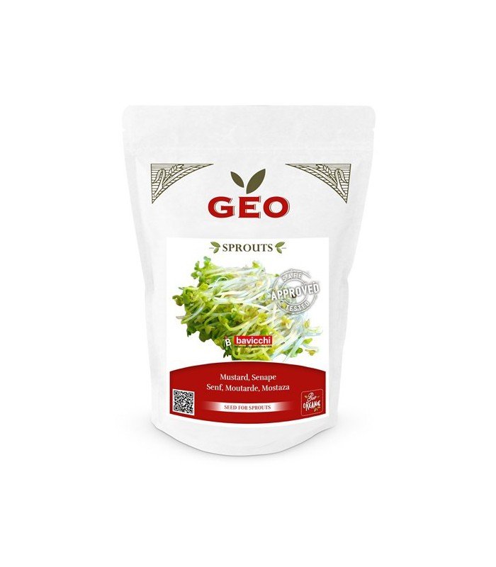 Gorczyca - nasiona na kiełki GEO, certyfikowane, DUŻE OPAKOWANIE, 300g, Bavicchi (ZSE0108)