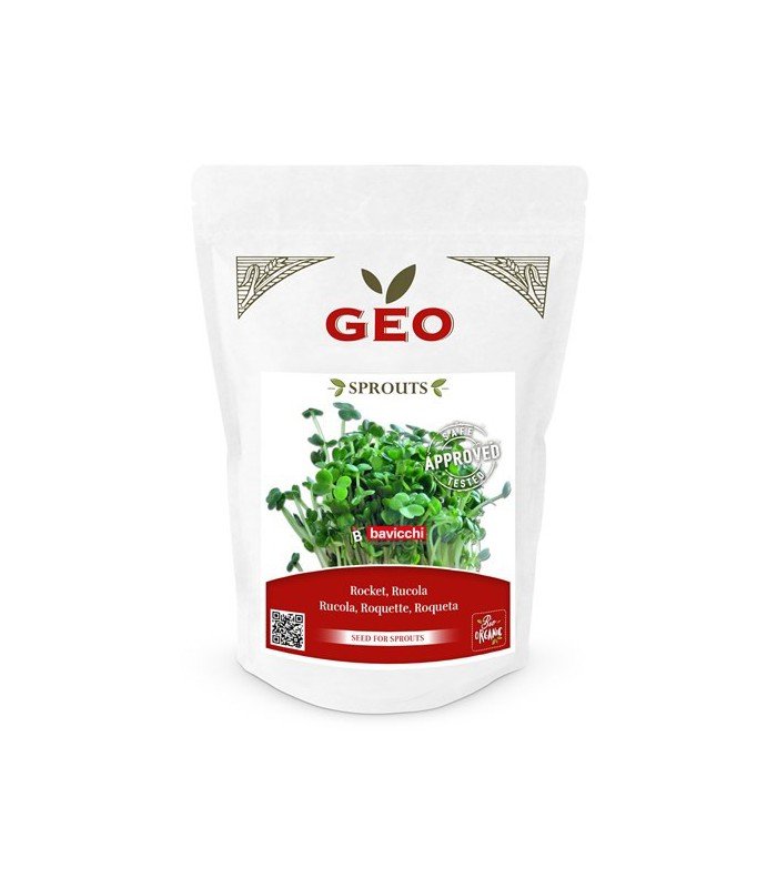 Rukola - nasiona na kiełki GEO, certyfikowane, DUŻE OPAKOWANIE, 300g, Bavicchi (ZRU0208)