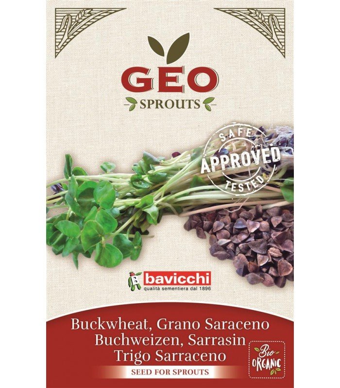 Gryka - nasiona na kiełki GEO, certyfikowane, 90g, Bavicchi (ZGS0103)