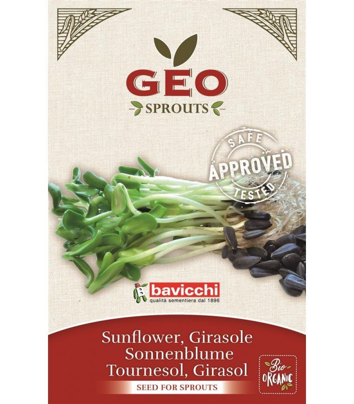 Słonecznik - nasiona na kiełki GEO, certyfikowane, 80g, Bavicchi (ZGI0103)