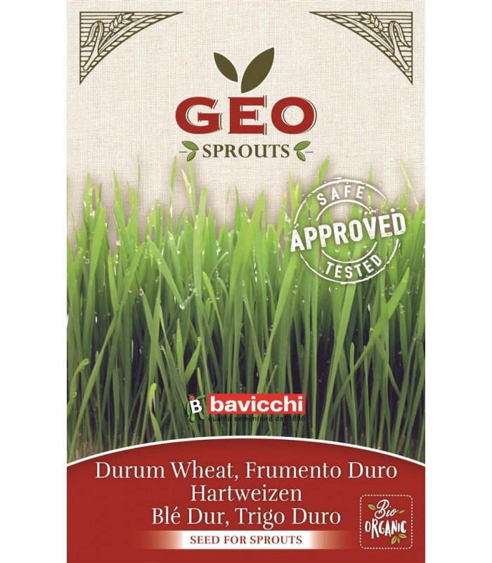 Pszenica durum - nasiona na kiełki GEO, certyfikowane, 80g, Bavicchi (ZCR0103)