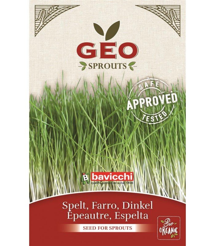 Orkisz - nasiona na kiełki GEO, certyfikowane, 80g, Bavicchi (ZCR0303)