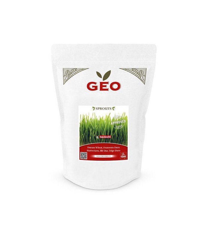 Pszenica durum - nasiona na kiełki GEO, certyfikowane, DUŻE OPAKOWANIE, 600g, Bavicchi (ZCR0609)