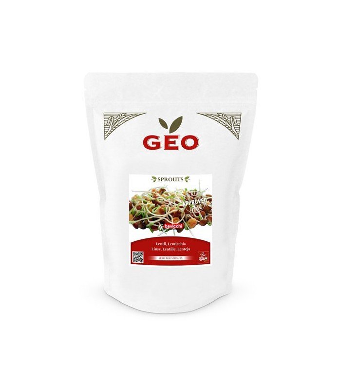 Soczewica - nasiona na kiełki GEO, certyfikowane, DUŻE OPAKOWANIE, 600g, Bavicchi (ZLE0109)