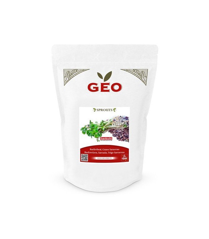 Gryka - nasiona na kiełki GEO, certyfikowane, DUŻE OPAKOWANIE, 500g, Bavicchi (ZGS0109)