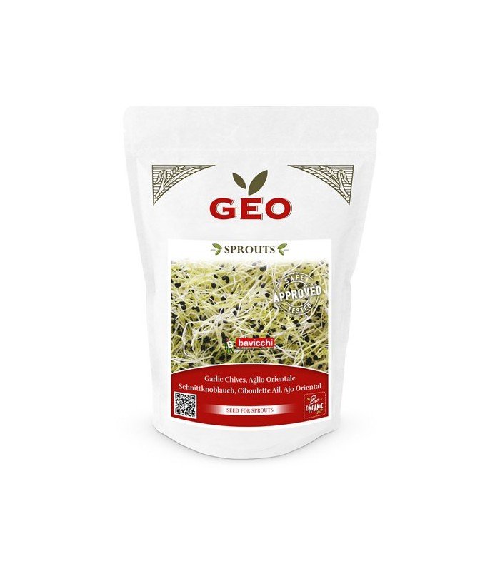 Czosnek - nasiona na kiełki GEO, certyfikowane, DUŻE OPAKOWANIE, 150g, Bavicchi (ZAG0508)