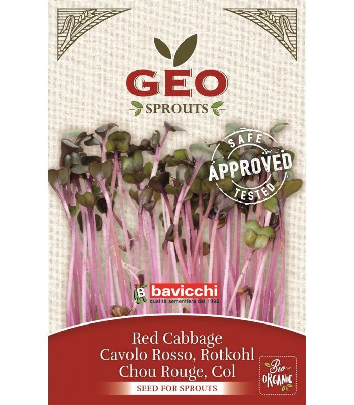 Czerwona kapusta - nasiona na kiełki GEO, certyfikowane, 12g, Bavicchi (VCC0403)