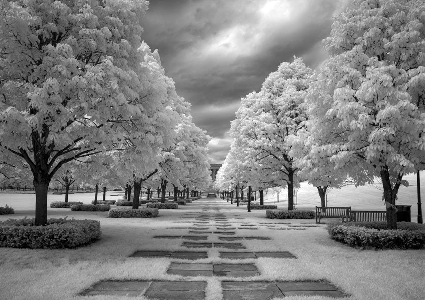 Lincoln memorial park in Washington D.C., Carol Highsmith - plakat 100x70 cm
