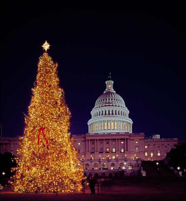 Paint horse at a farm., Carol Highsmith - plakat 21x29,7 cm