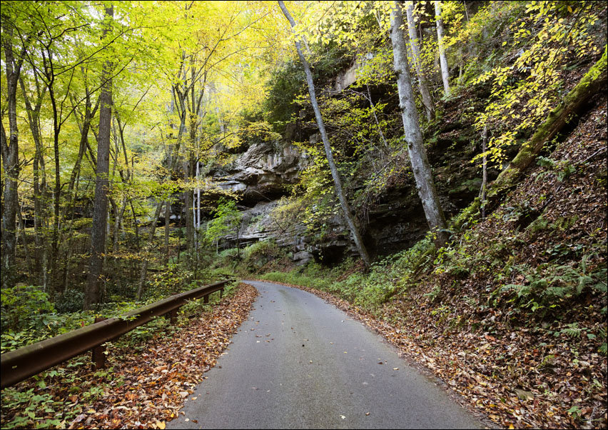 Picturesque but slender road to Nuttallburg, a ghost town that was once one of about 50 places that sprang up in the deep West Virginia forests., Caro