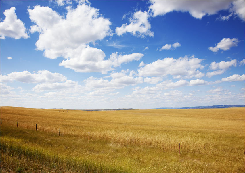 South Dakota rural scene., Carol Highsmith - plakat 30x20 cm