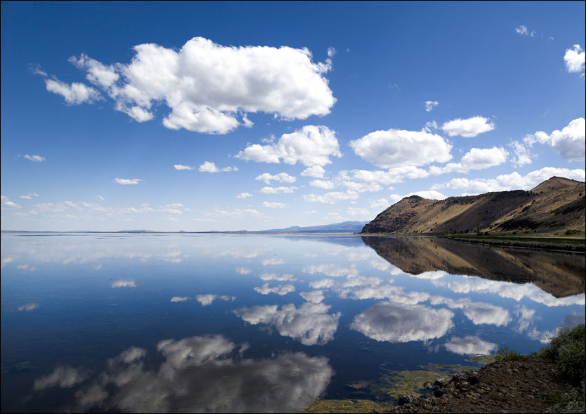 Tule Lake, Carol Highsmith - plakat 50x40 cm