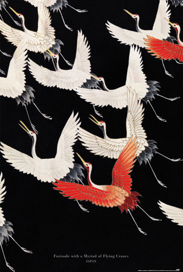 Żurawie w Locie - plakat 61x91,5 cm