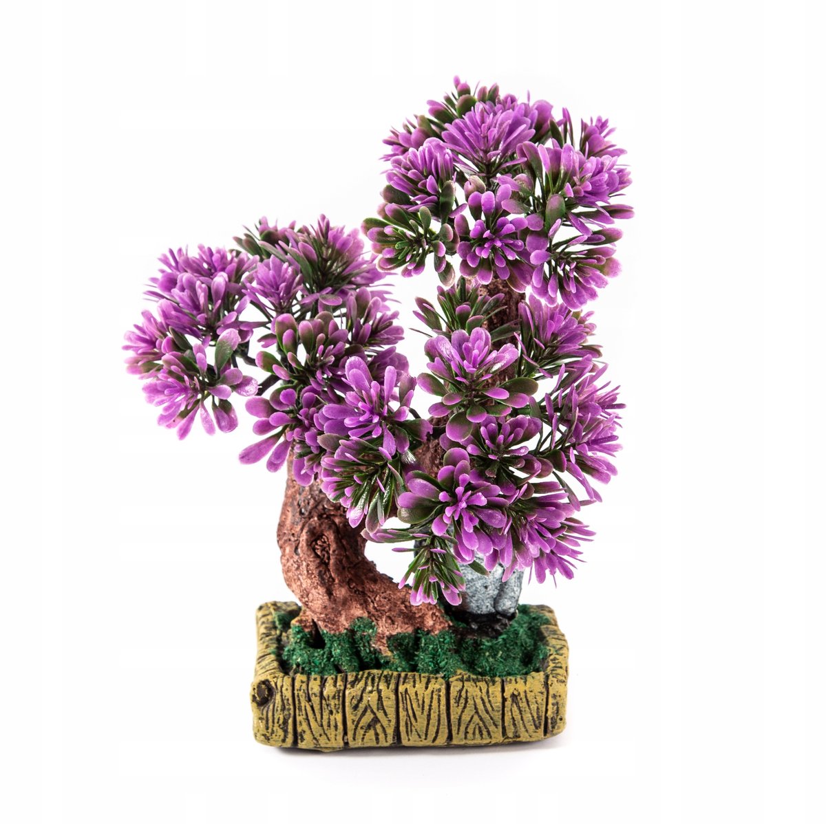 DRZEWO BONSAI W DONICZCE ROŚLINA RÓŻNE KOLORY