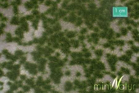 MiniNatur Dwukolorowe letnie tufty