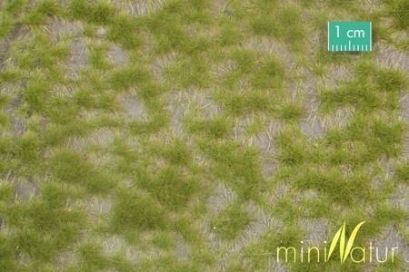 Silhouette Dwukolorowe kępy traw, wiosna 15x8cm 737-21SX