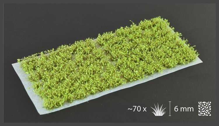 Gamersgrass Green Shrub