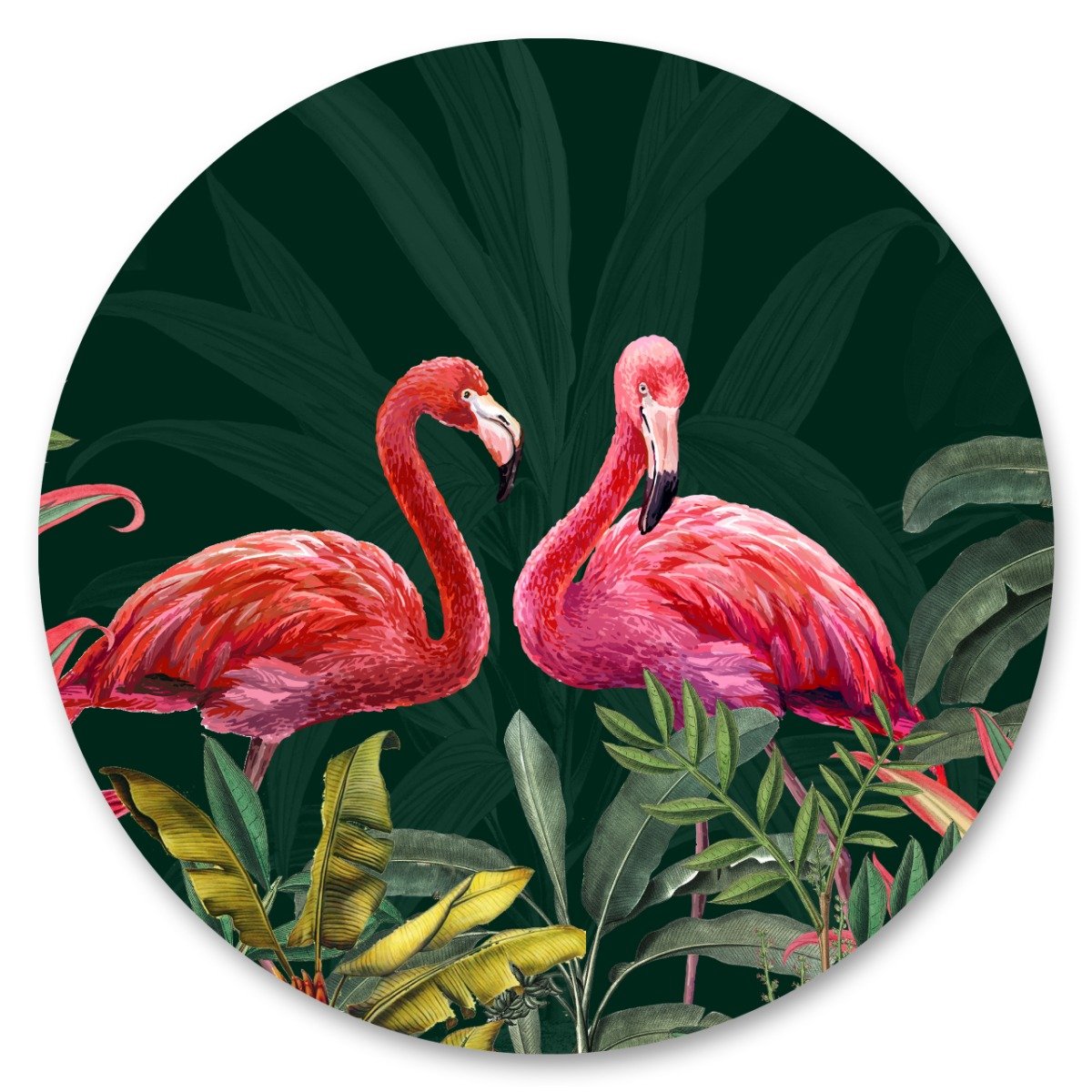 Naklejka Flamingi Liście Tropikalne Koło Ptaki Natura Rośliny 100Cm X 100Cm