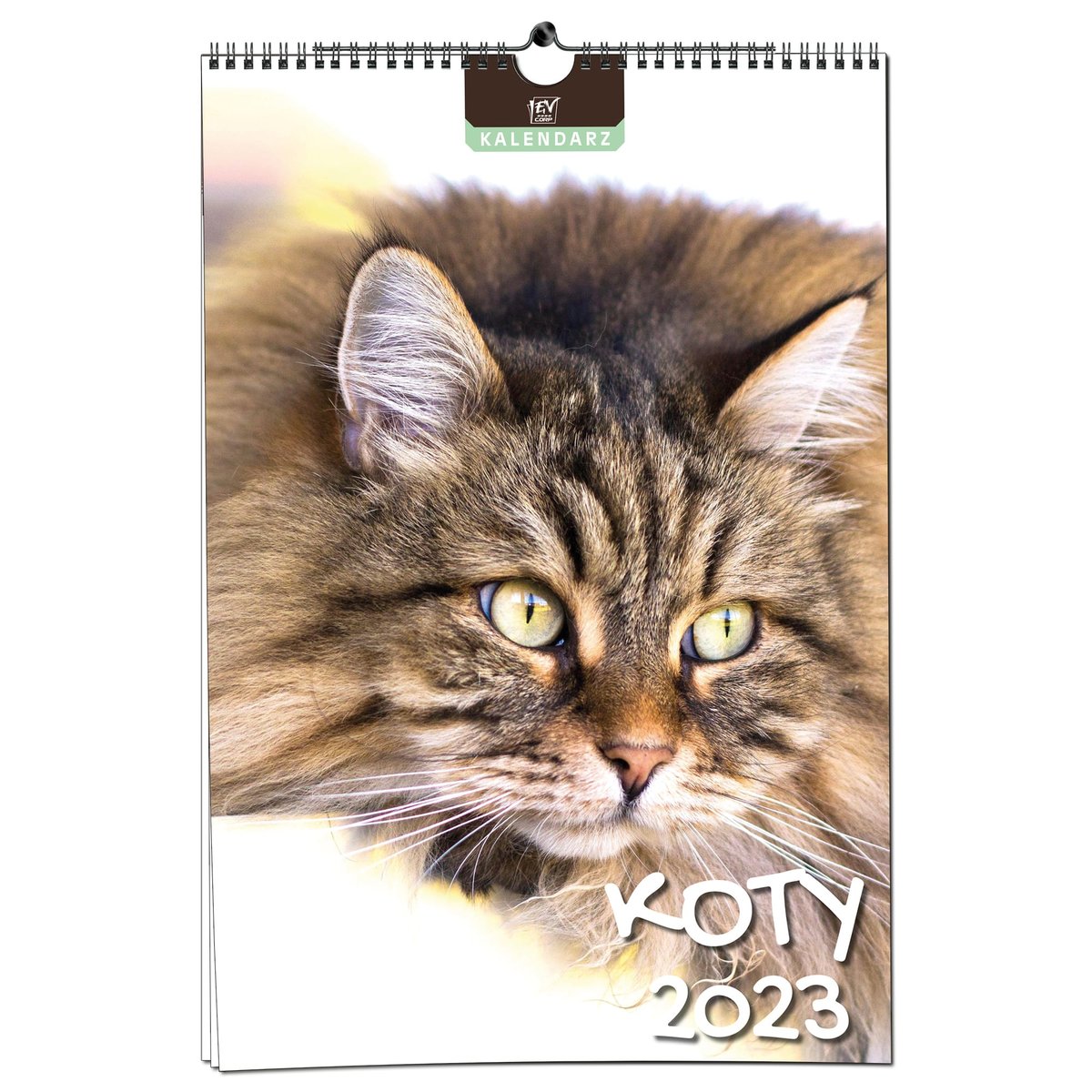 Kalendarz 2023 7 Plansz B3 - Koty - EV-Corp
