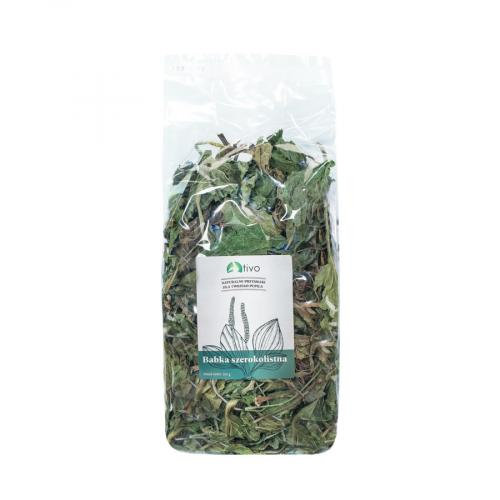 Tivo SUSZONE ZIOŁA BABKI SZEROKOLISTNEJ 100g