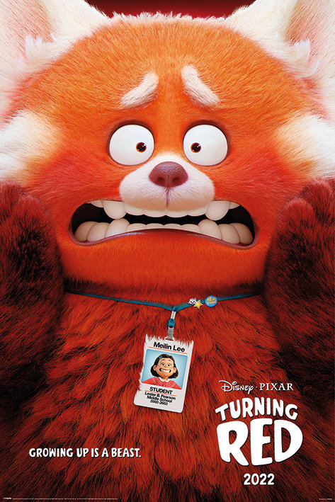 TURNING RED plakat 61x91cm