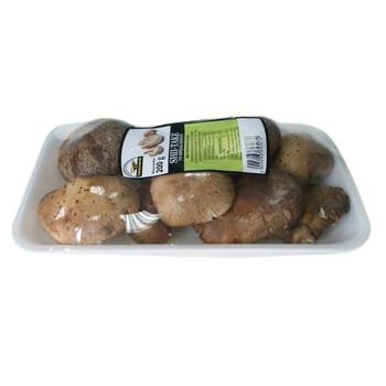 Grzyby Shii-take twardziak jadalny 200 g