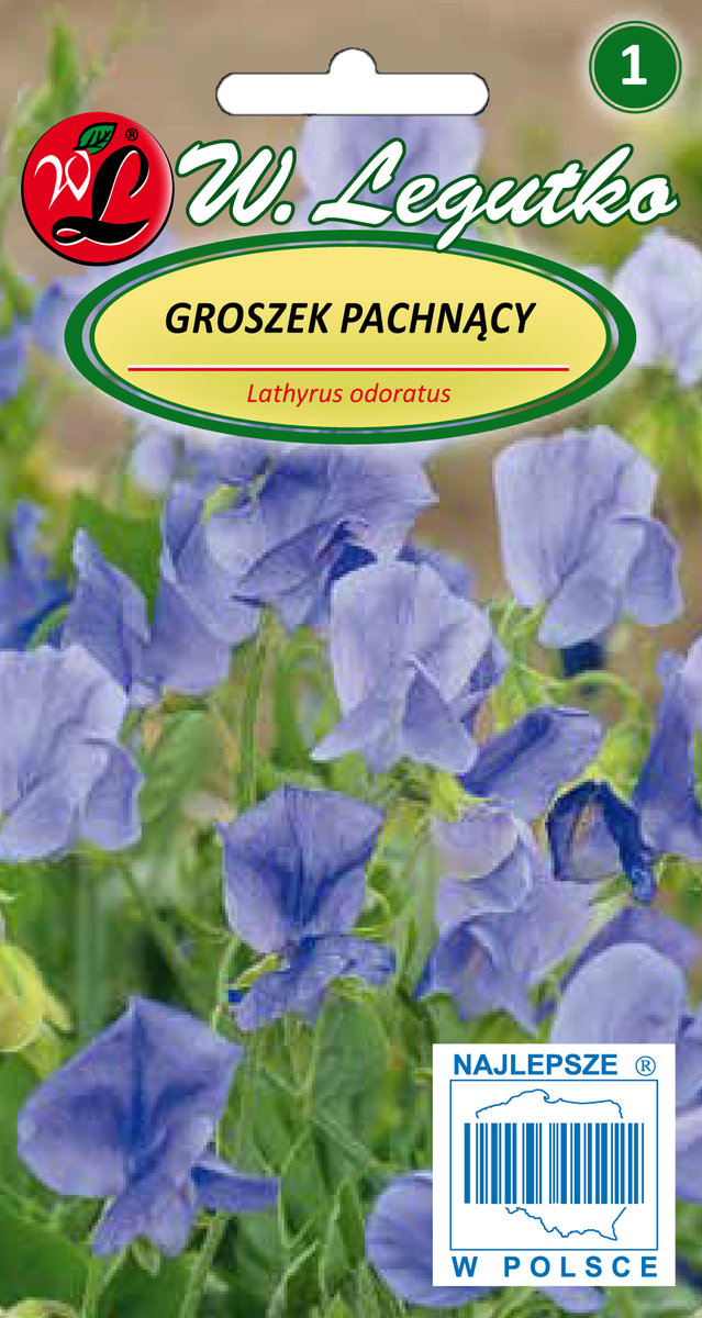 Legutko sp. z o.o Nasiona Groszek pachnący niebieski, 3g