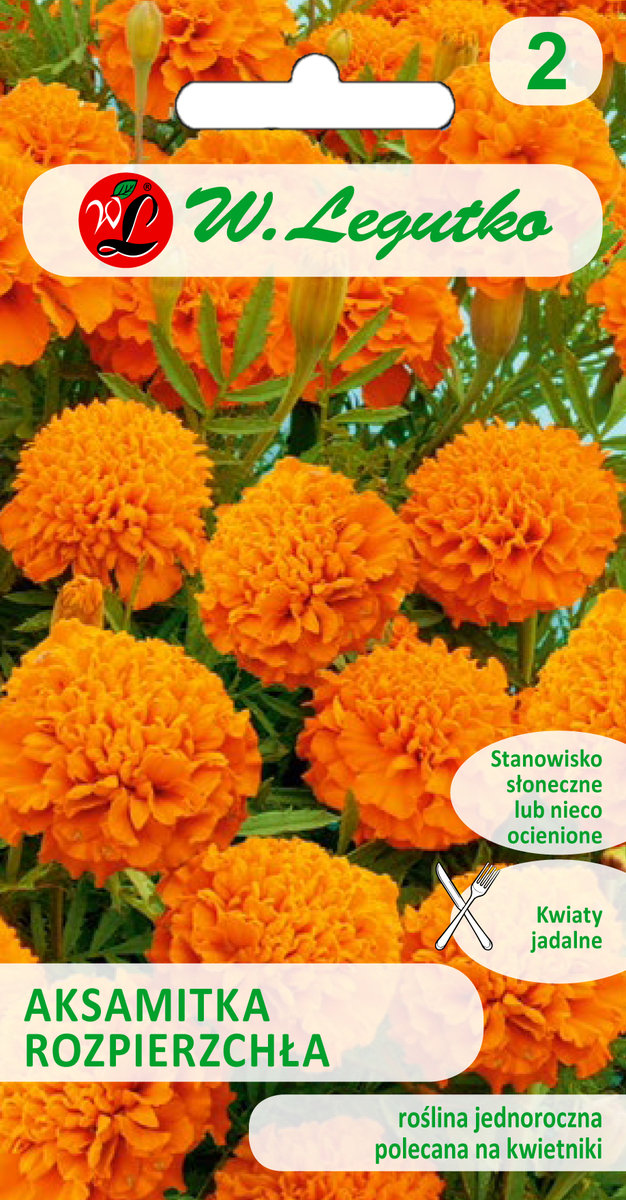 Legutko sp. z o.o Nasiona Aksamitka rozpierzchła pomarańczowa, 1g