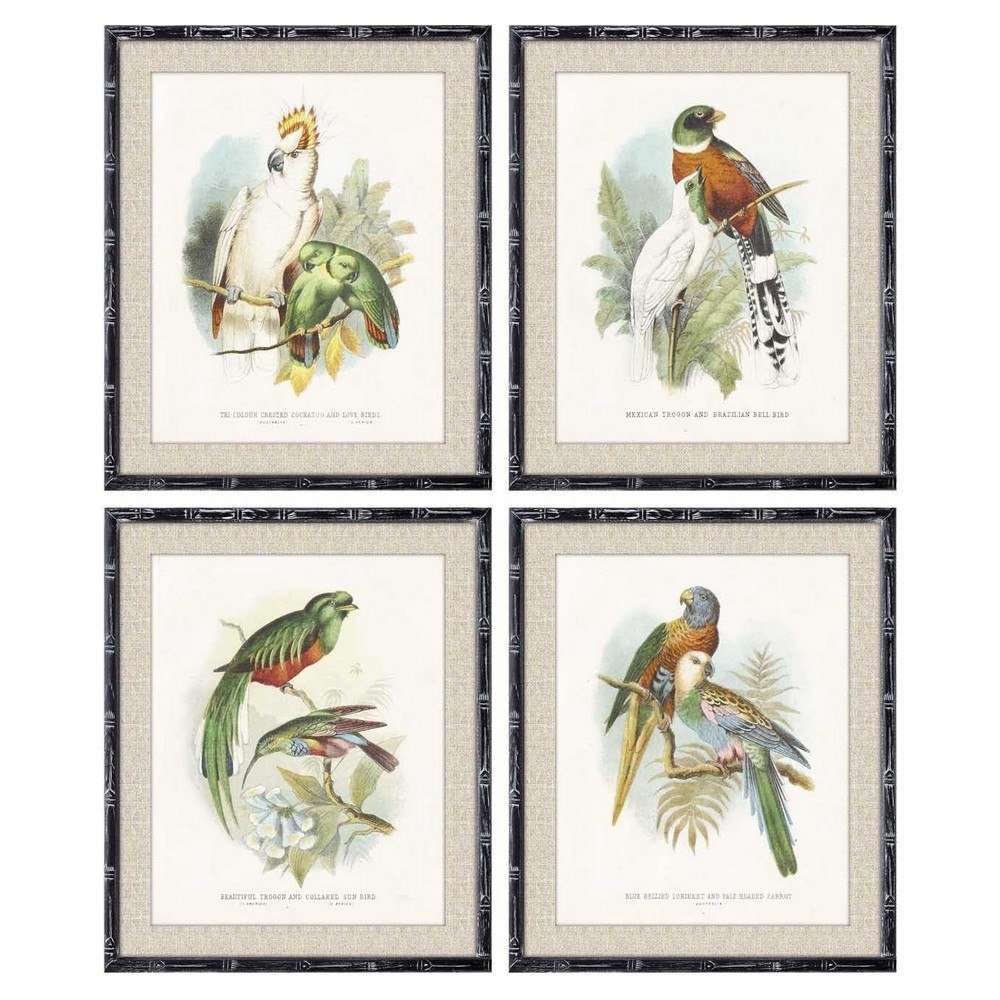 Emaga Obraz DKD Home Decor Ptaki Nowoczesny (50 x 2 x 60 cm) (4 Sztuk)