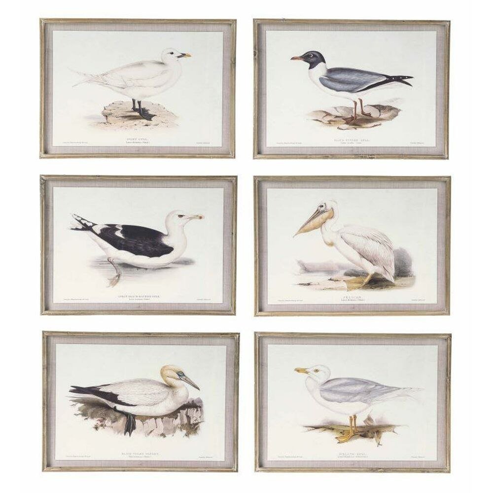 Emaga Obraz DKD Home Decor Ptaki (70 x 2,5 x 50 cm) (6 Sztuk)