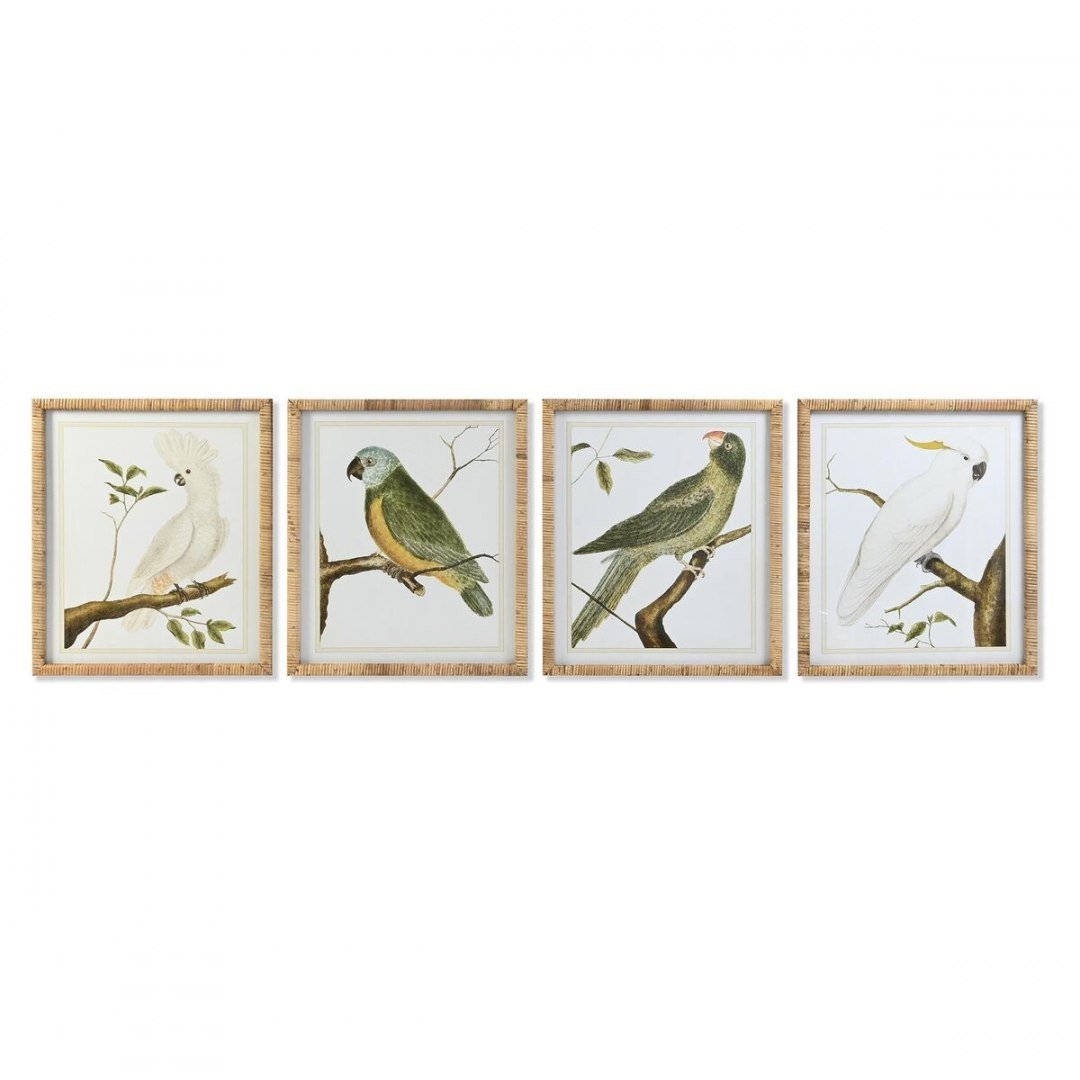 Emaga Obraz DKD Home Decor Tropikalny Ptaki (50 x 2,5 x 60 cm) (4 Sztuk)