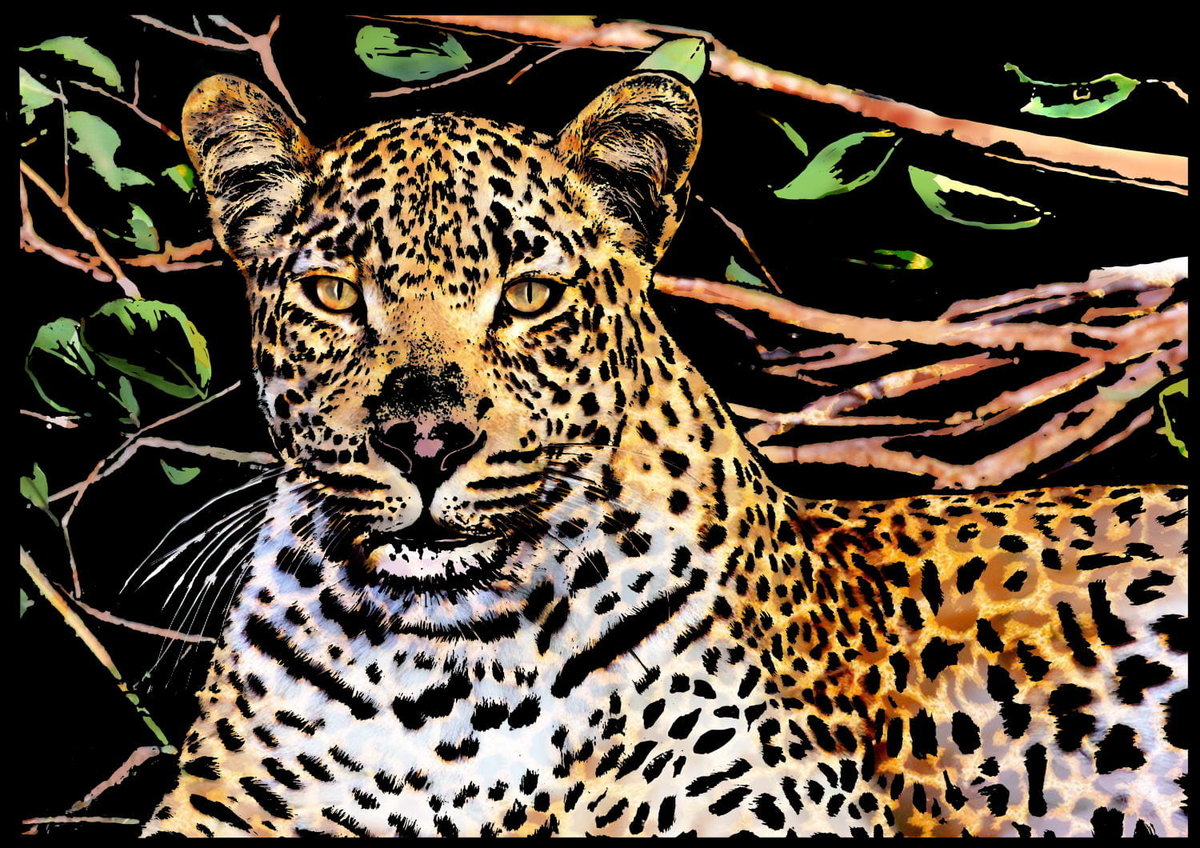 Magiczna Zdrapka - Leopard 40,5x28,5cm - Twoje Hobby