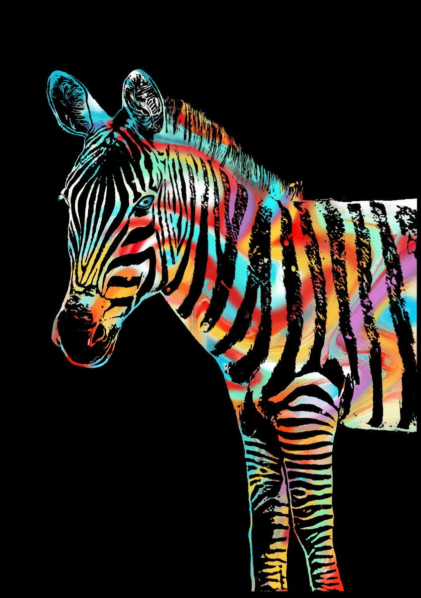 Magiczna Zdrapka - Zebra 40,5x28,5cm - Yuelu