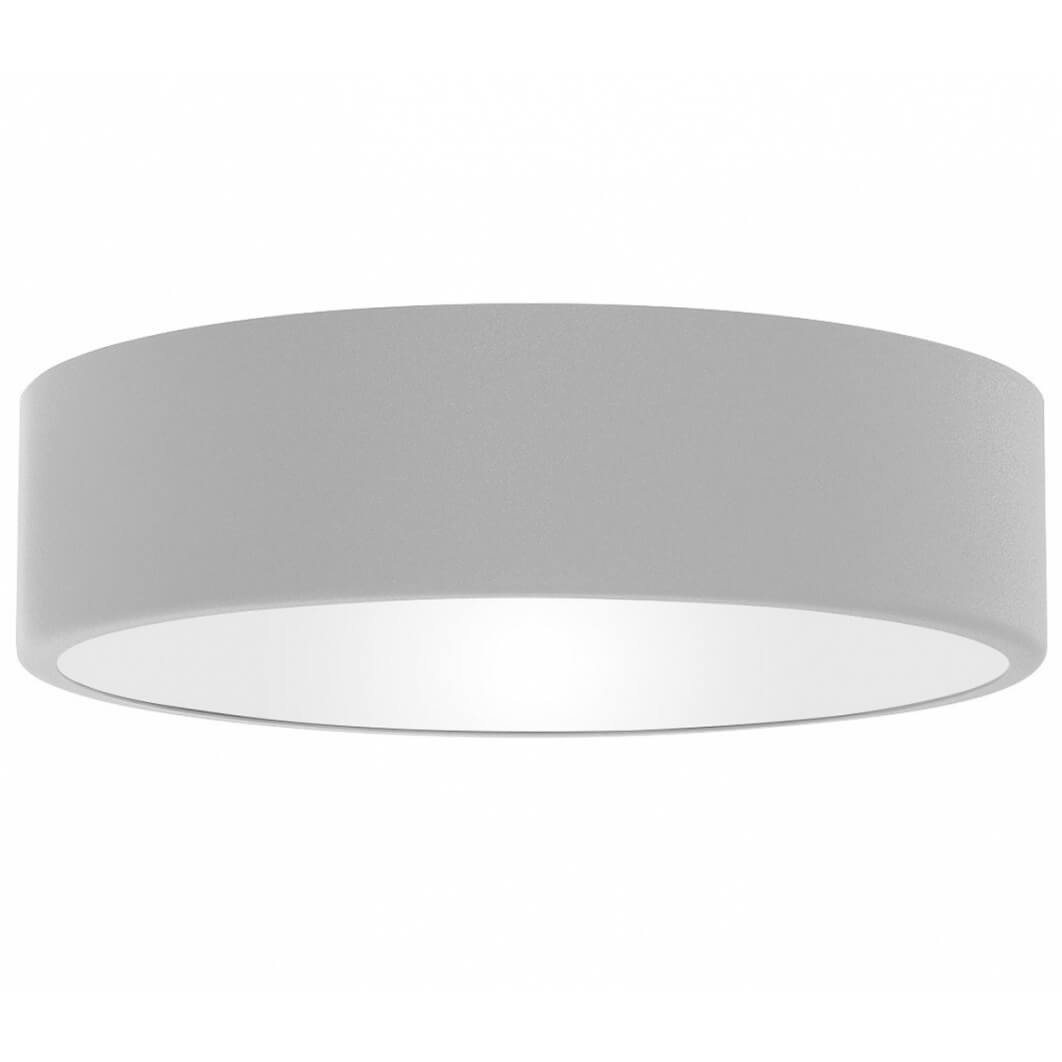 Euluna Lampa sufitowa Cleo 300, IP54, 30 cm szara