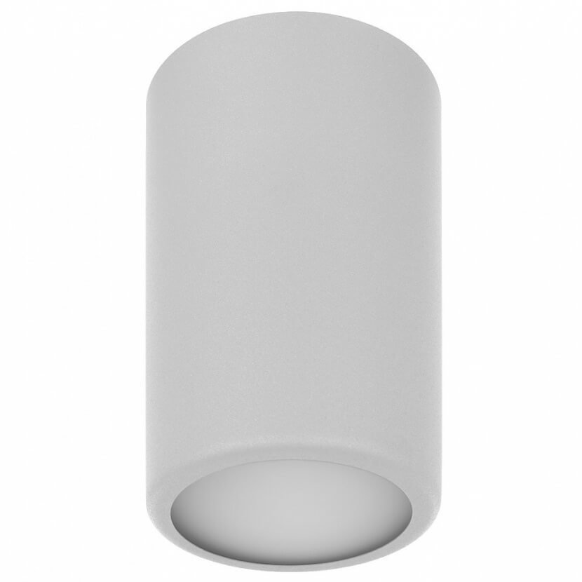 Euluna Lampa sufitowa Tube TB 170, szara